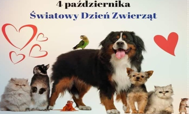 Plakat reklamujący Światowy Dzień Zwierząt